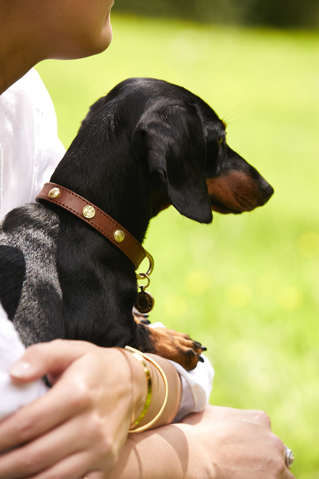 Holland Cooper HC Studded Dog Collar in Chestnut
