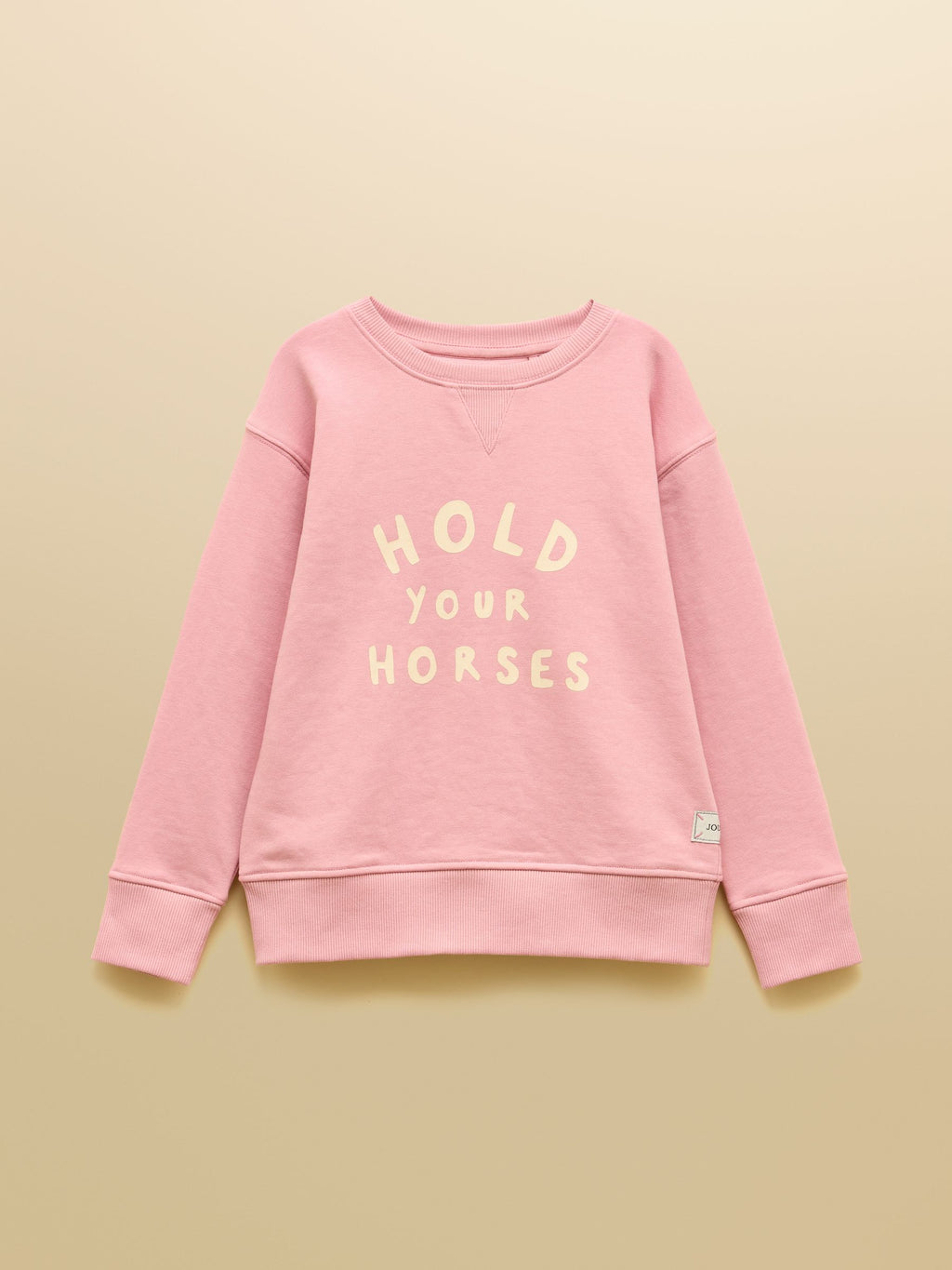 Pink sweatshirt with 'Hold Your Horses' text on a beige background
