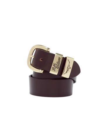 Brown belt with gold buckle on a white background