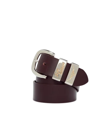 Brown leather belt with silver buckle on a white background