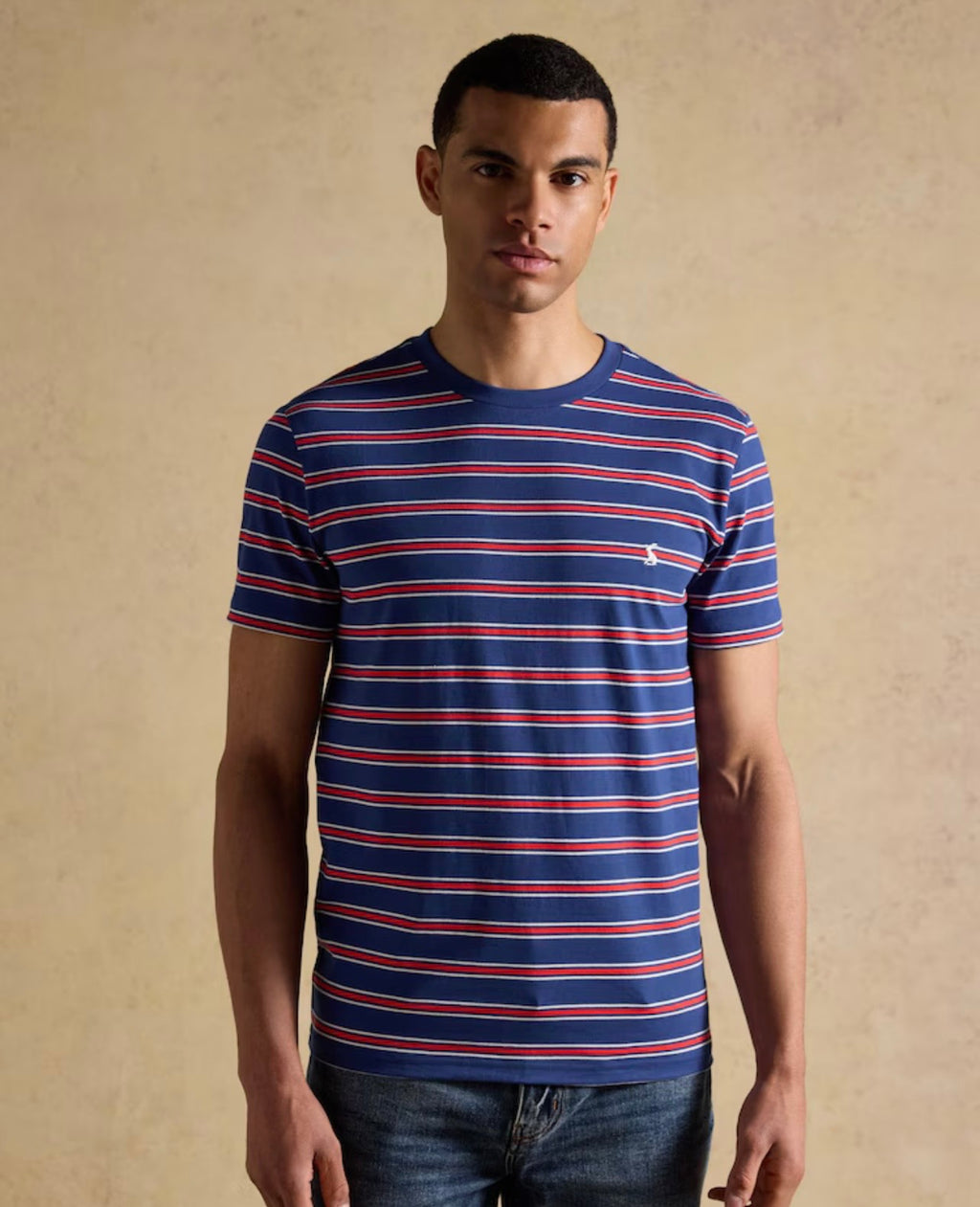 Joules Everyday Navy & Red Stripe Classic Fit Cotton T-Shirt