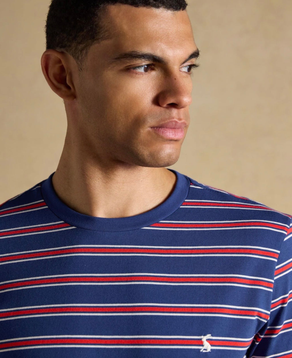 Joules Everyday Navy & Red Stripe Classic Fit Cotton T-Shirt