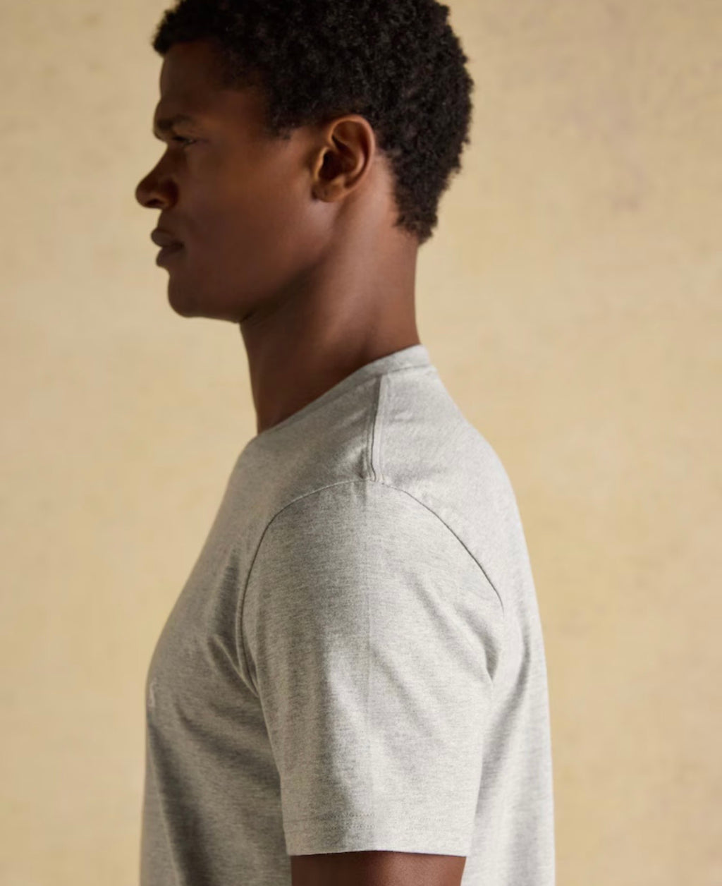Joules Everyday Grey Classic Fit Cotton T-Shirt