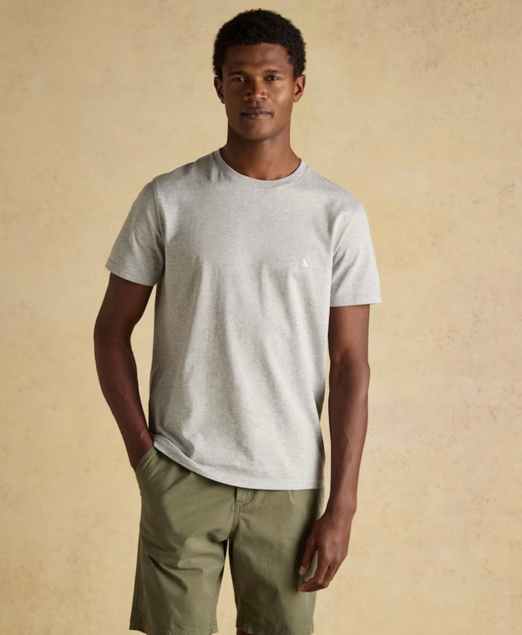 Joules Everyday Grey Classic Fit Cotton T-Shirt