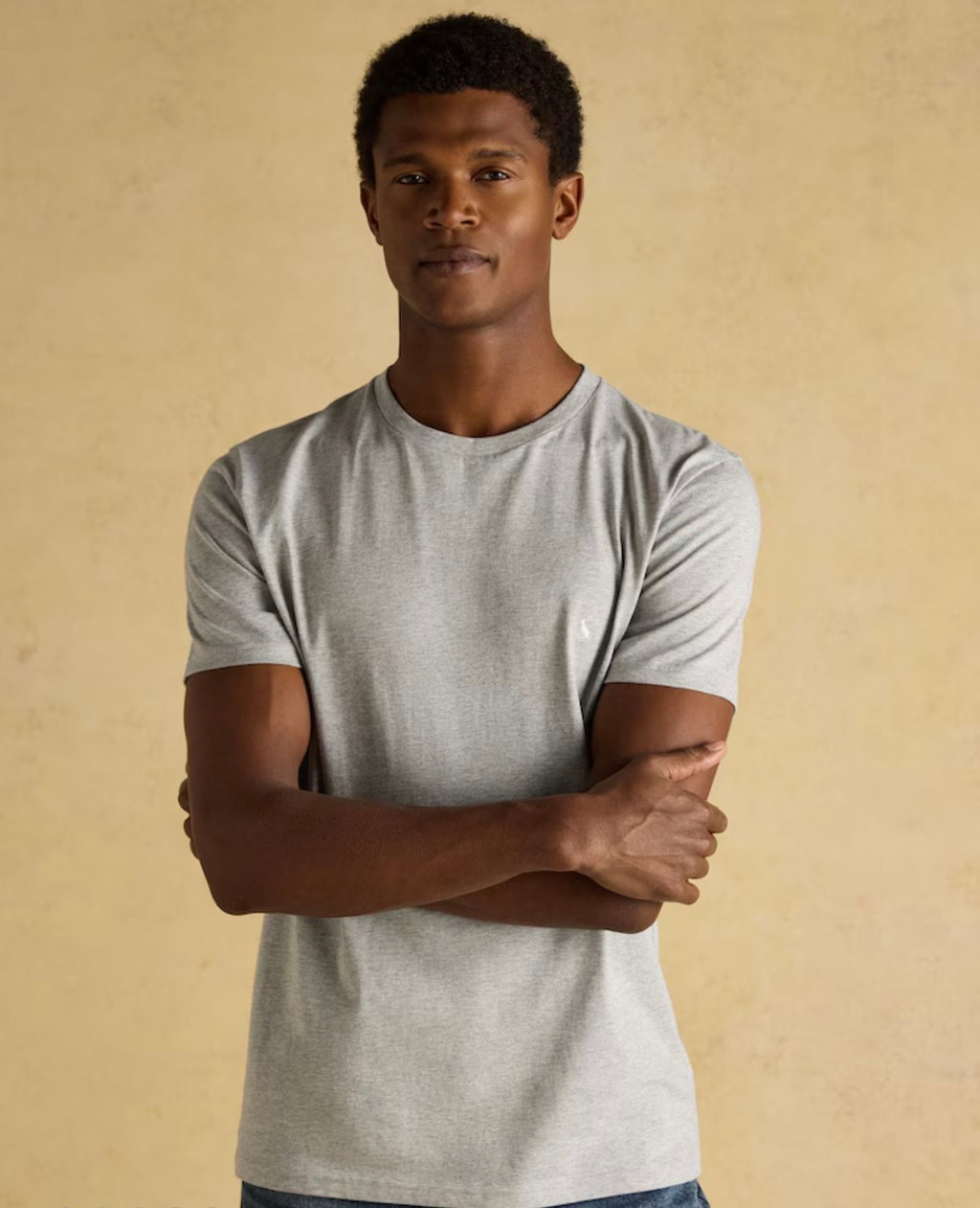 Joules Everyday Grey Classic Fit Cotton T-Shirt
