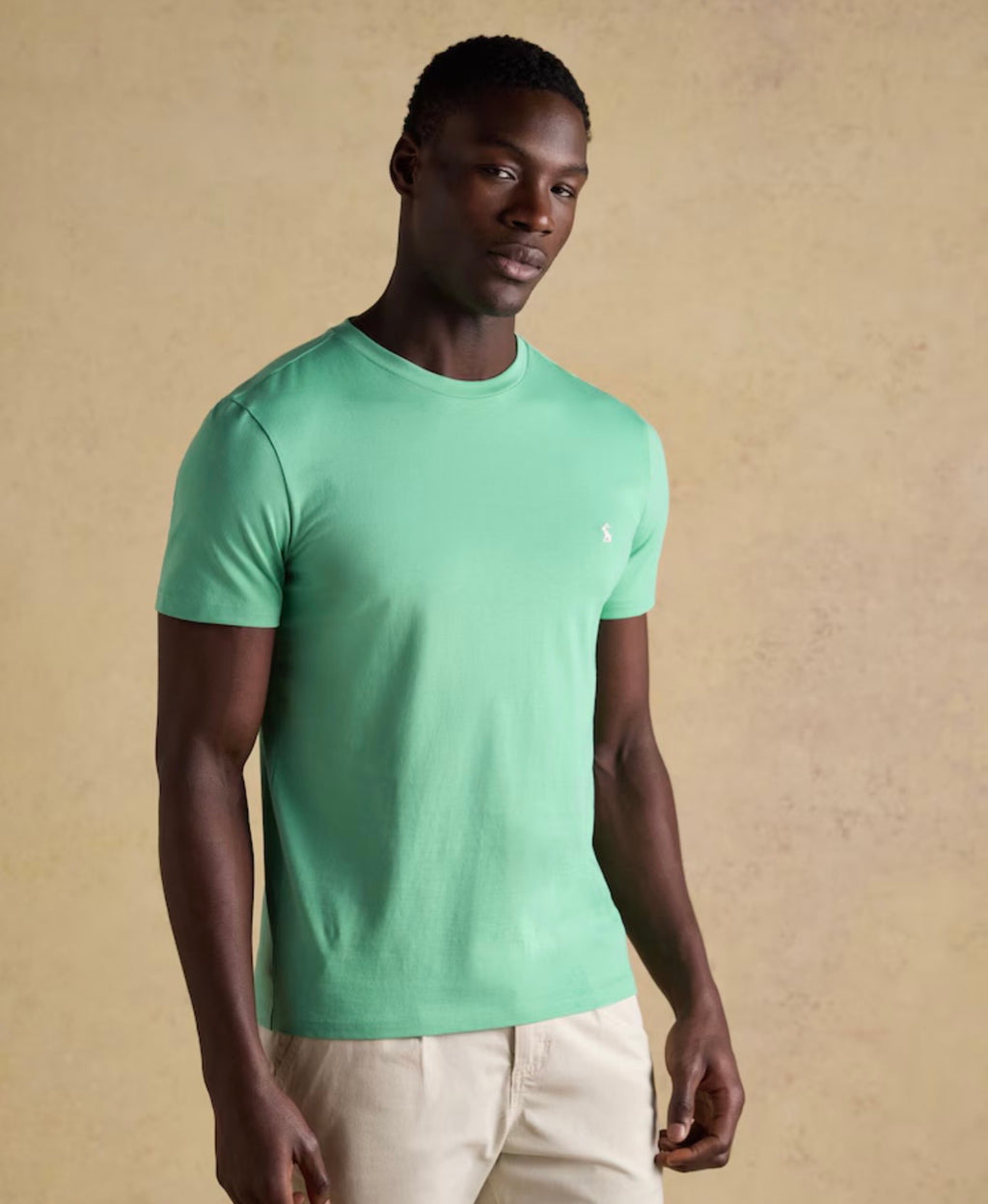 Joules Everyday Light Green Classic Fit Cotton T-Shirt