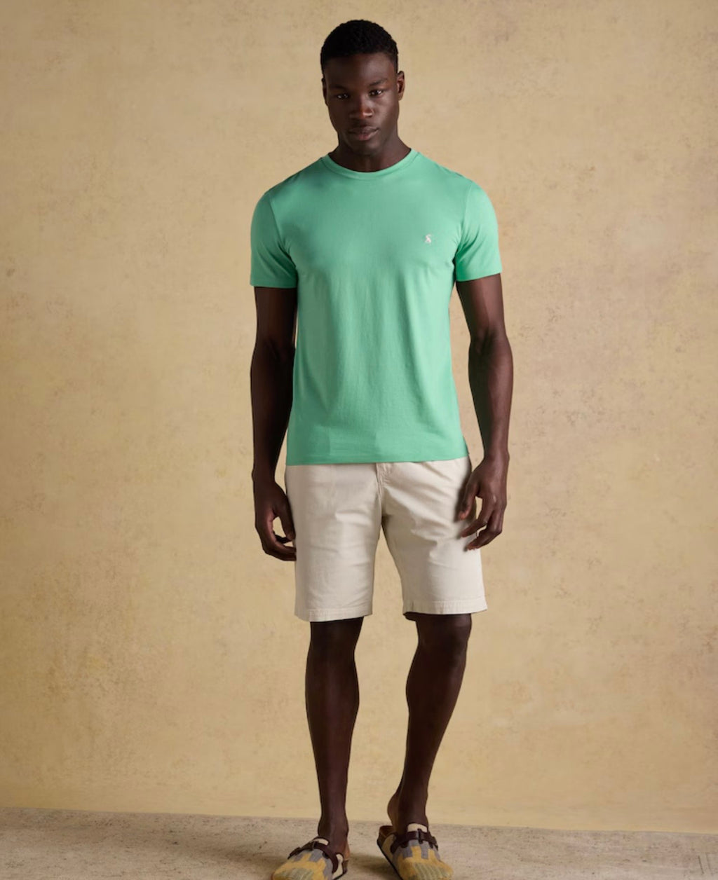 Joules Everyday Light Green Classic Fit Cotton T-Shirt