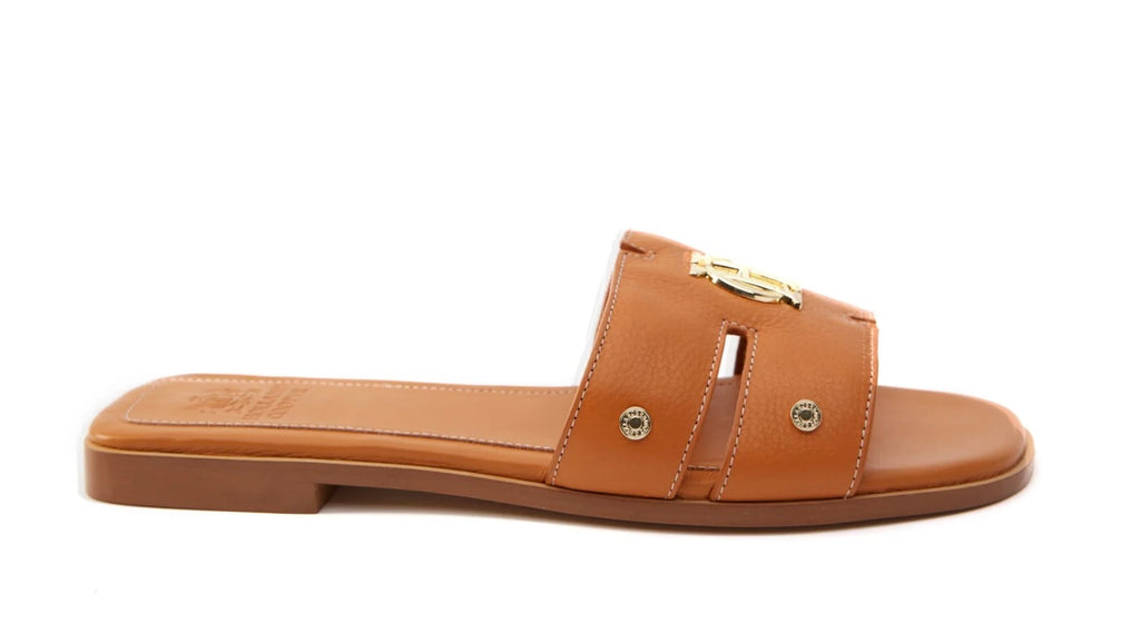 Brown sandal with gold buckle on a white background